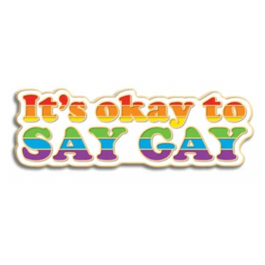 It's Okay to Say Gay Pin