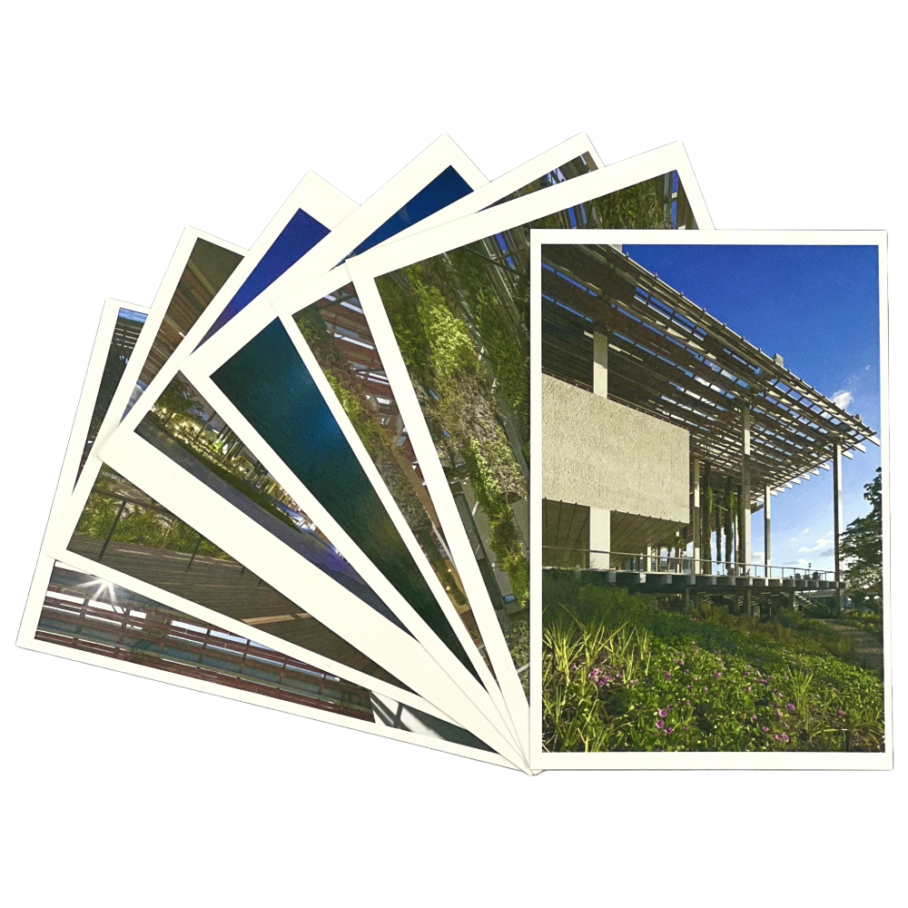 PAMM Postcard Set