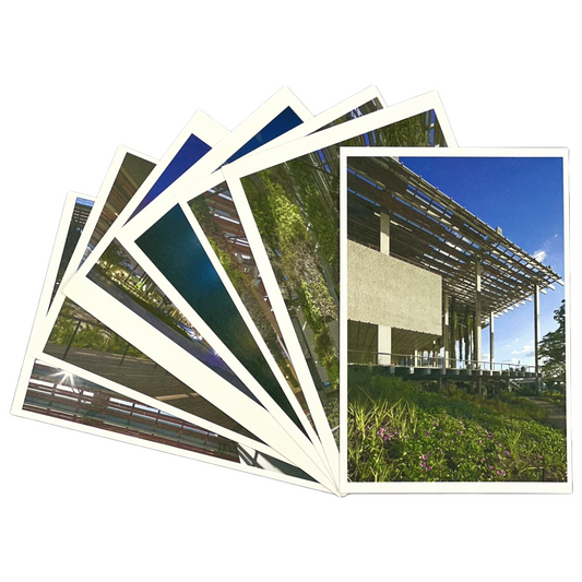 PAMM Postcard Set