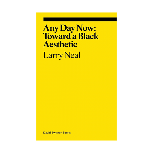 Any Day Now: Toward a Black Aesthetic