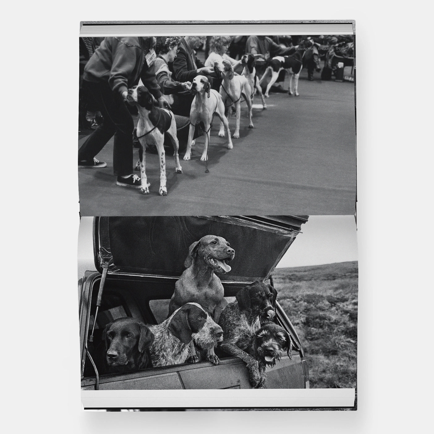 DogDogs - Elliott Erwitt