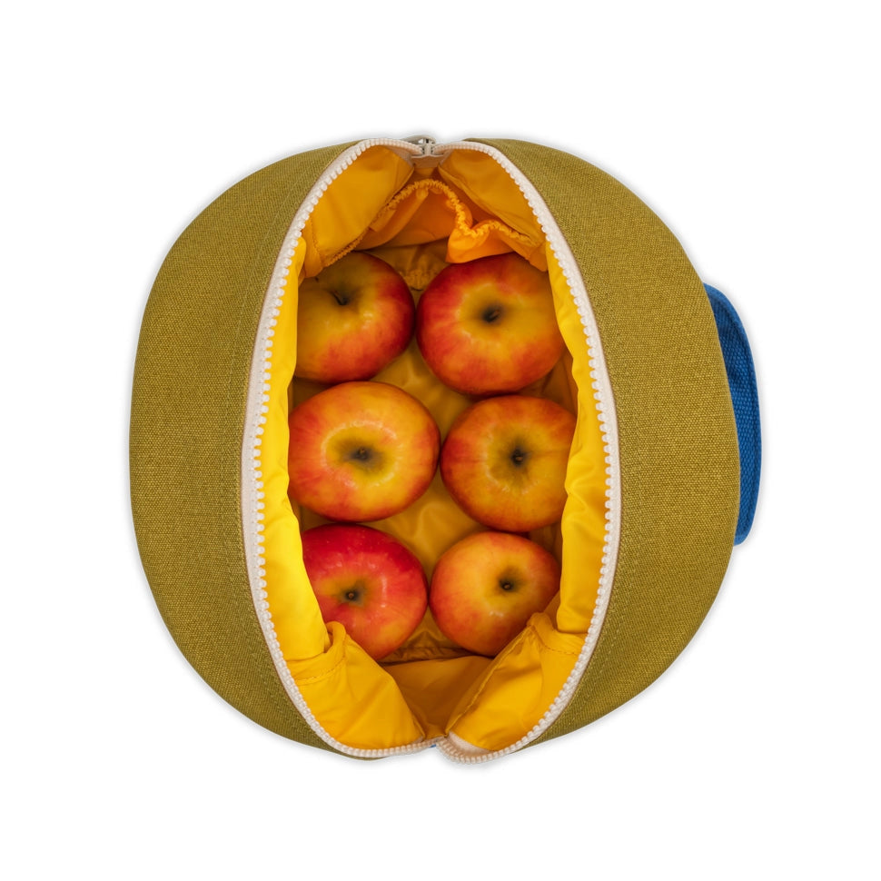 Homemade Organic Lunch Bag