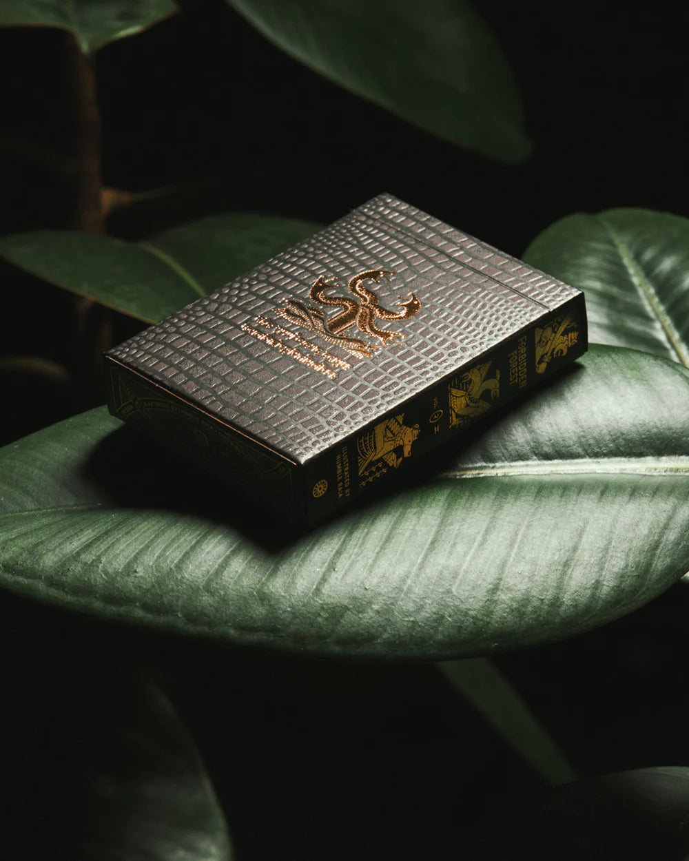Forbidden Forest Playing Cards