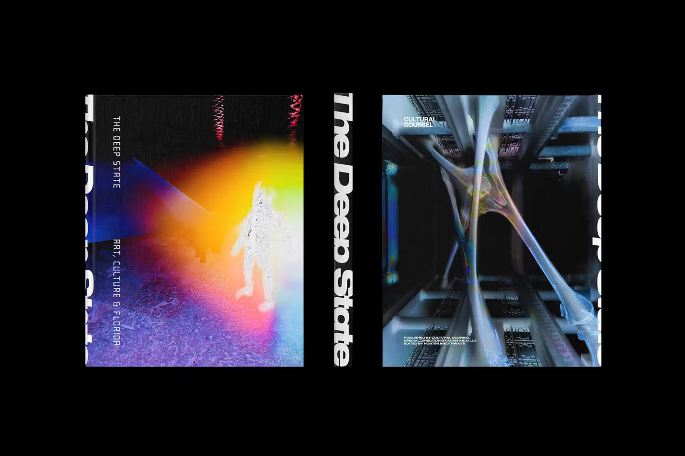 The Deep State: Art, Culture & Florida