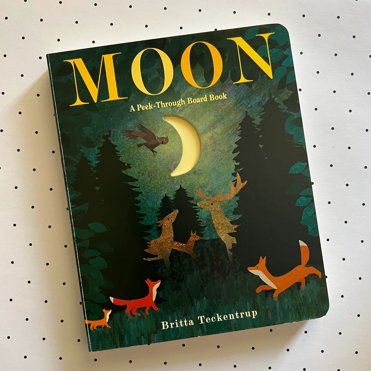 Moon: A Peek-Through Board Book