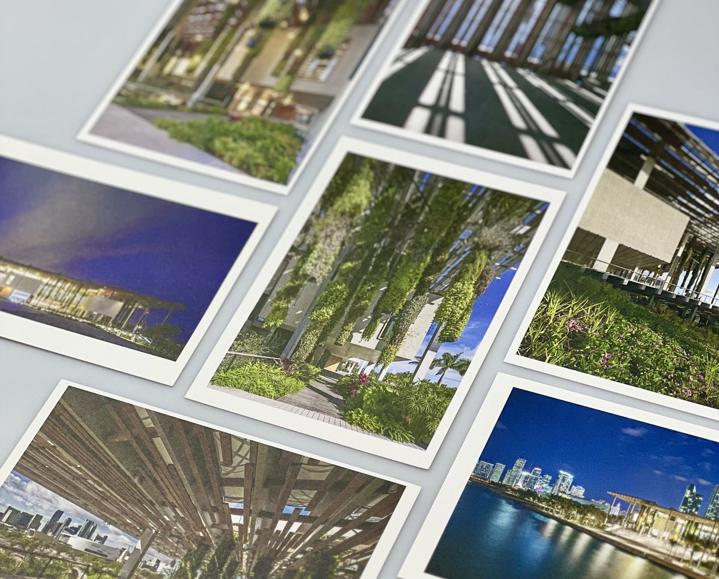 PAMM Postcard Set