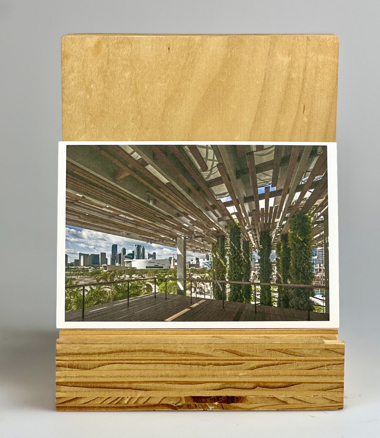 PAMM Postcard Set