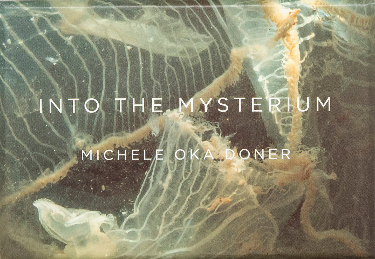 Michele Oka Doner: Into the Mysterium