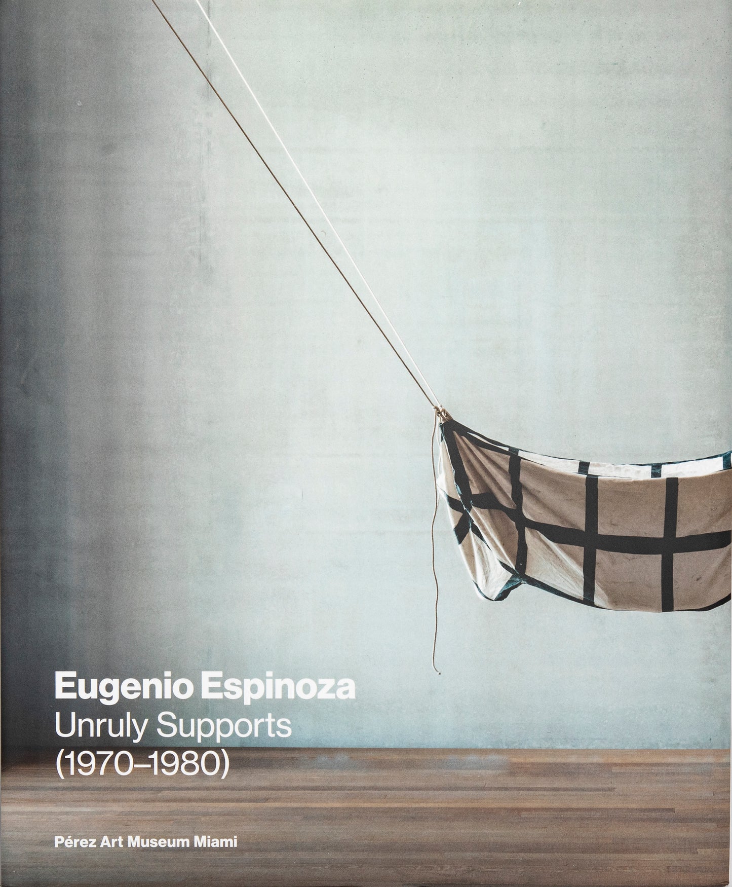 Eugenio Espinoza: Unruly Supports
